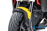 Carbon Ilmberger Vorderradabdeckung BMW R 1300 RS
