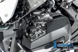 Carbon Ilmberger Einspritzd�sen Abdeckung BMW R 1300 RS