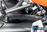 Carbon Ilmberger Coperchio del tubo del freno BMW R12 Nine T