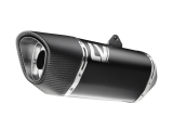 Auspuff Leo Vince LV-14 R MT-09