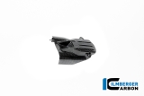 Carbon Ilmberger Anlasserabdeckung BMW R12 Nine T