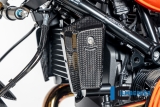 Carbon Ilmberger �lk�hlerabdeckung BMW R12 Nine T