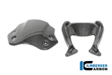 Carbon Ilmberger Windschild BMW R12 Nine T