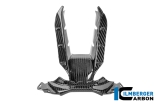 Carbon Ilmberger Lufteinlass BMW M 1000 RR