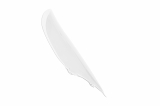 WRS Caponord Windschild BMW K 1200 S