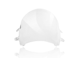 WRS Race Windschild Honda CBR 600 RR