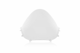 WRS Race Windschild Ducati Panigale V4