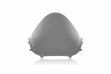 WRS Race Windschild Ducati Panigale V4