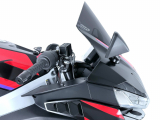 WRS Race Windschild Aprilia RS 457