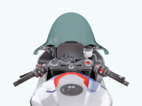 WRS Race Windschild BMW S 1000 RR