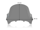WRS Race Windschild BMW M 1000 RR