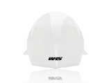 WRS Race Windschild Kawasaki Ninja ZX-10R