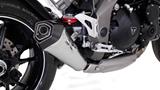 Avgas Remus Hypercone Triumph Speed Triple 1050