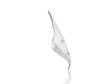 WRS Standard Windschild BMW R 1250 R