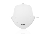 WRS Standard Windschild BMW R 1250 R