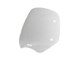 WRS Standard Windschild BMW R 1200 R