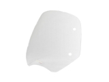 WRS Standard Windschild BMW R 1200 R