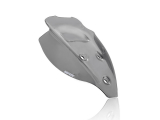 WRS Sport Windschild Ducati Streetfighter V2