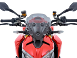 WRS Sport Windschild Ducati Streetfighter V2