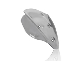 WRS Sport Windschild Ducati Streetfighter V2