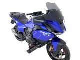 WRS Sport Windschild BMW R 1300 RT