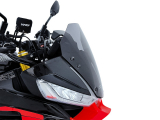 WRS Sport Windschild Aprilia Tuono V4