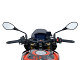 WRS Sport Windschild Aprilia Tuono V4