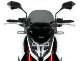 WRS Sport Windschild Honda CB 750 Hornet