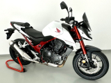 WRS Sport Windschild Honda CB 750 Hornet