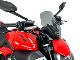 WRS Sport Windschild Ducati Diavel V4