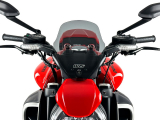 WRS Sport Windschild Ducati Diavel V4