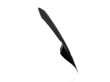 WRS Sport Windschild Yamaha MT-10