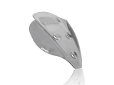 WRS Sport Windschild Ducati Streetfighter V4