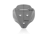 WRS Sport Windschild Ducati Streetfighter V4