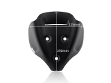 WRS Sport Windschild Ducati Streetfighter V4