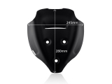 WRS Sport Windschild Ducati Streetfighter V4