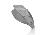 WRS Sport Windschild Ducati Streetfighter V4