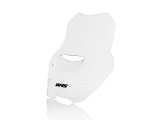 WRS Sport Windschild BMW R 1200 R
