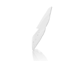 WRS Sport Windschild BMW R 1200 R