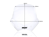 WRS Sport Windschild BMW R 1200 R