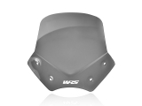 WRS Sport Windschild BMW R 1200 R
