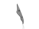 WRS Sport Windschild BMW R 1250 R