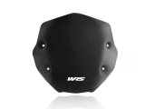 WRS Sport Windschild BMW R 1250 R