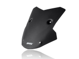 WRS Sport Windschild BMW S 1000 XR