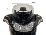 WRS Sport Windschild BMW R 1200 RT