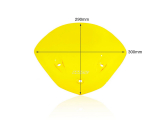 WRS Sport Windschild BMW S 1000 R