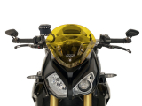 WRS Sport Windschild BMW S 1000 R
