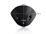 WRS Sport Windschild BMW S 1000 R