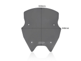 WRS Sport Windschild BMW R 1200 RS