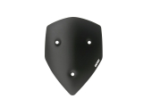 WRS Sport Windschild Ducati Multistrada 1200